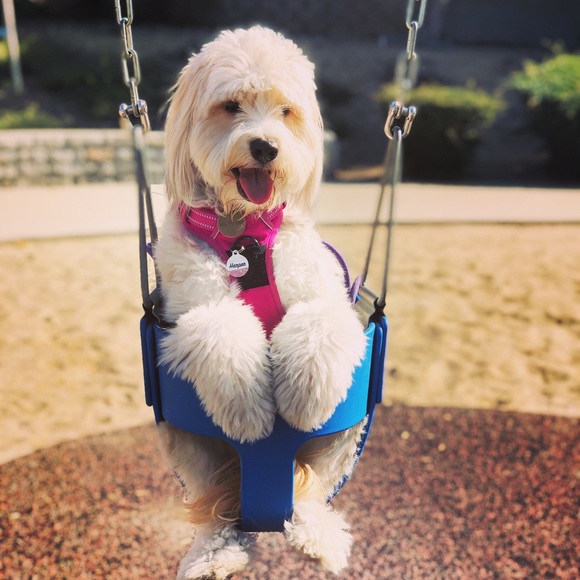 Meet your Posher, Rachelle - Picture 1 of 1